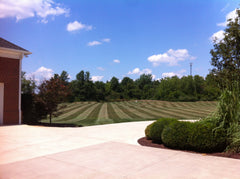 Lawn Fertilizer &amp; Food