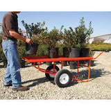 F2460EX - Leonard 2-Wheel 24x60 Deck Cart